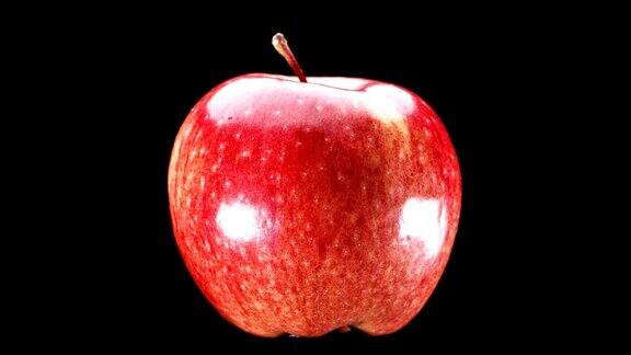 美丽的红色的苹果在黑色的背景上旋转特写