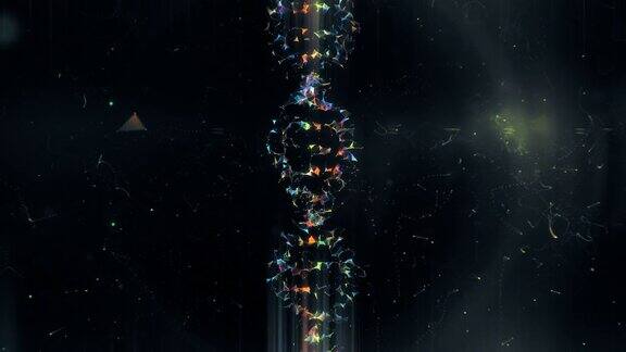 神经丛漩涡的DNA