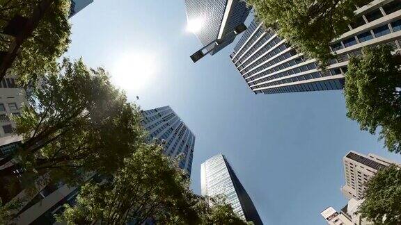 商业区的摩天大楼绿树-抬头看看天空