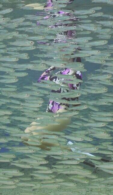 女孩自由潜水游到水面下看着一大群小鱼慢动作