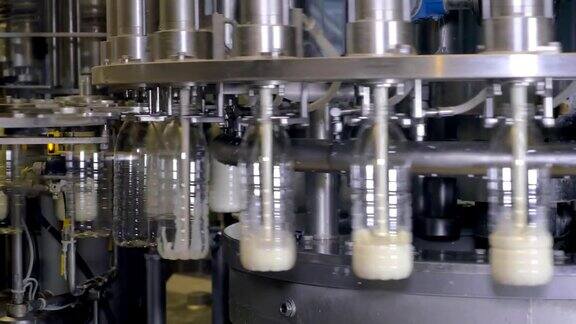 牛奶生产工厂用工业设备将牛奶倒入瓶中