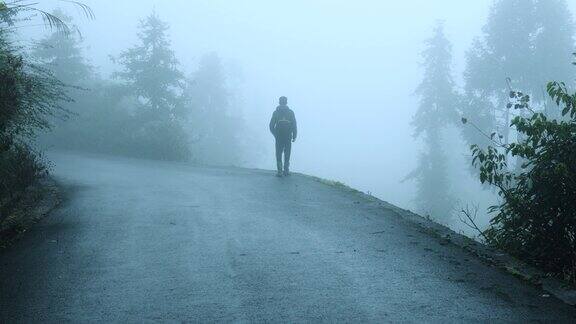 人走在雾林路上