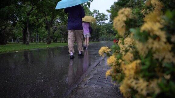 台北市大安森林公园雨中带伞行走的4K人