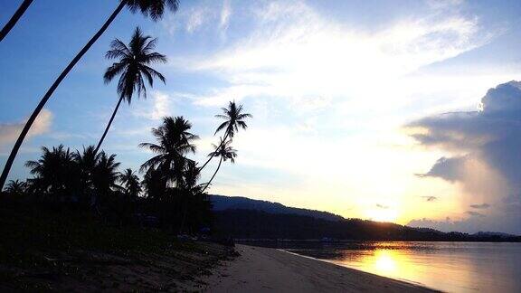 美丽的热带海滩和海洋与椰子树在天堂岛日落