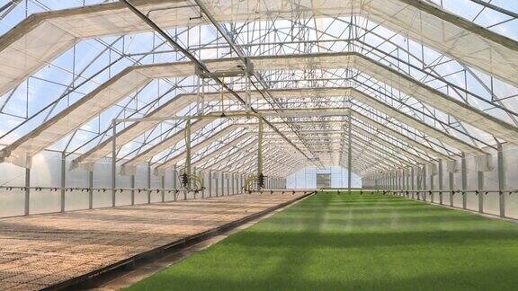 温室用于种植植物和树木的温室
