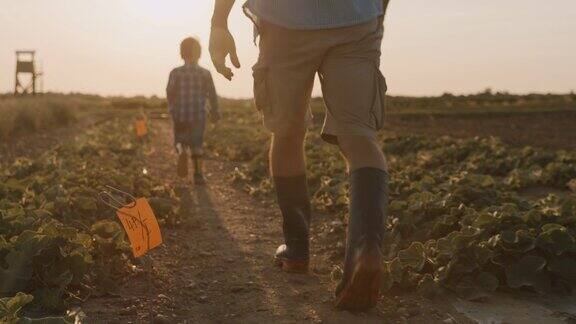 日落时分父子俩穿着胶靴走在田野的中央