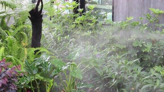放松的热带花园蒸汽和水流动