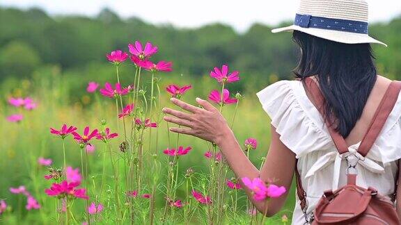 自由思想的花朵