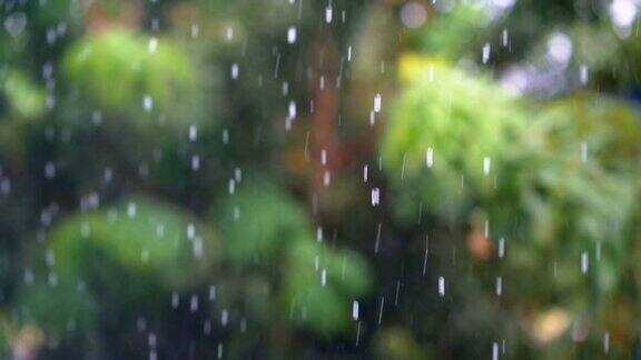 慢动作的雨落在模糊的绿色树的背景雨滴在白天和明亮的光是美丽的自然