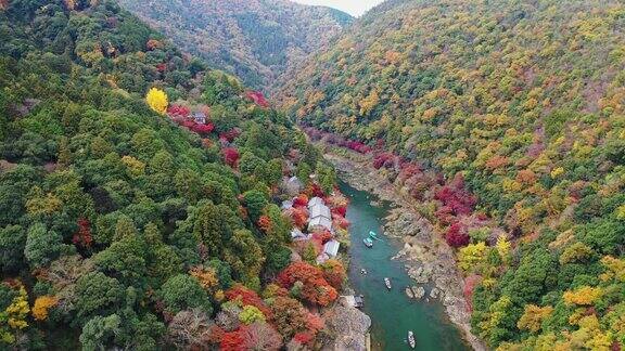 岚山的日本秋之美