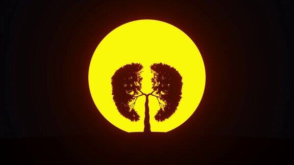 地球的肺日出时生长在肺部形状的树环保