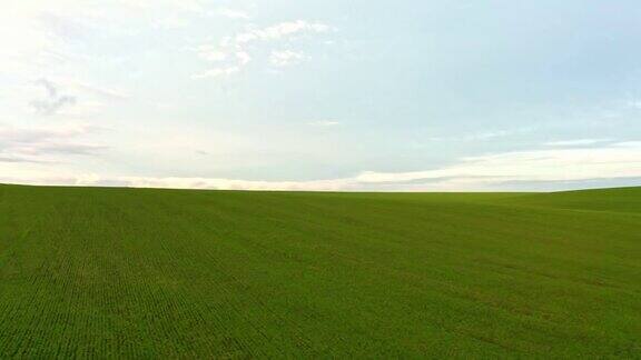 明亮的绿色田野和美丽的云彩