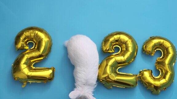 蓝色背景上平放着数字2023形状的金色充气气球兔年白兔而不是零新年快乐贺卡