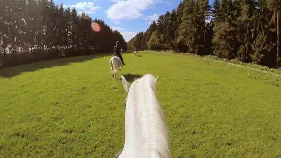 在草地上骑马奔跑