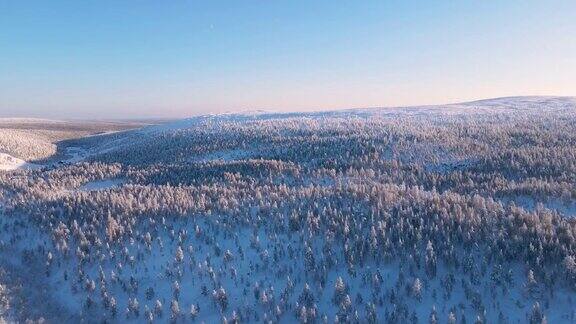 覆盖着积雪的松林鸟瞰图