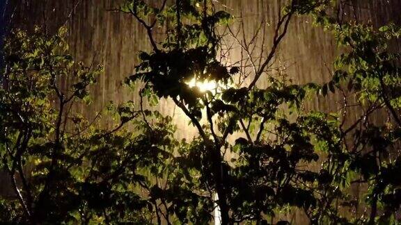 夜雨的景象