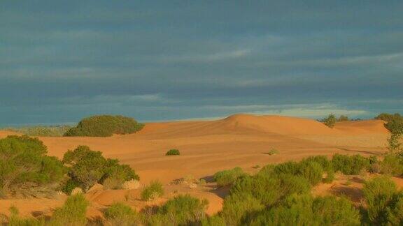 澳大利亚红色中心的沙丘沙漠内陆景观