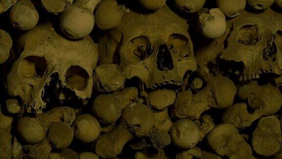 骨瓮里的人类头骨和骨头