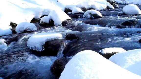 北海道森林小溪降雪