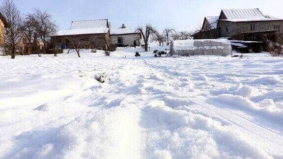 快乐的孩子在冬天的早晨享受雪橇