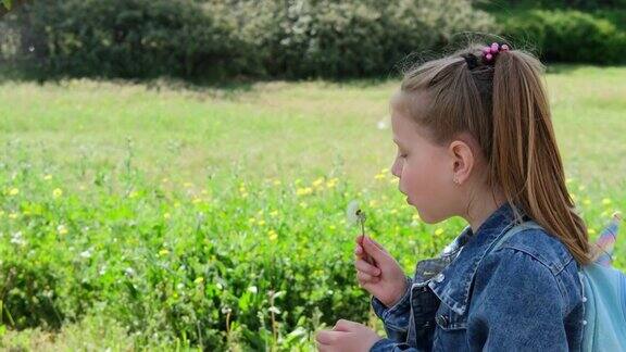 一个孩子在春天的公园里吹蒲公英一个小女孩手里拿着一朵花吹着它