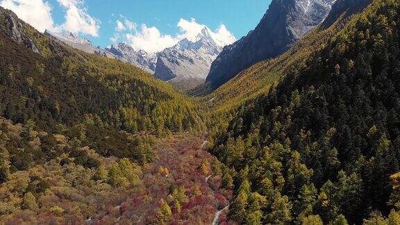 中国亚丁自然保护区秋季山谷的4k鸟瞰图和推车