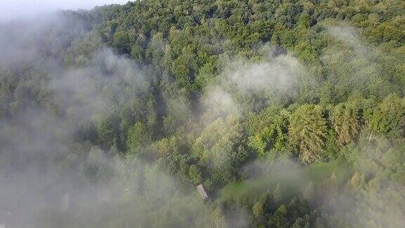 日出时森林和被雾覆盖的山丘的航拍
