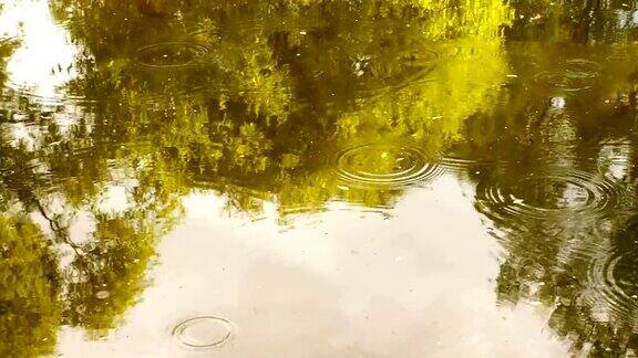 有小溪穿过的雨林水中倒影着树木和天空雨滴滴入河中在水面上打转