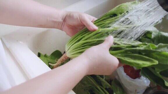 慢动作特写妇女洗手清洗蔬菜新鲜绿色的菠菜叶在厨房水槽健康素食