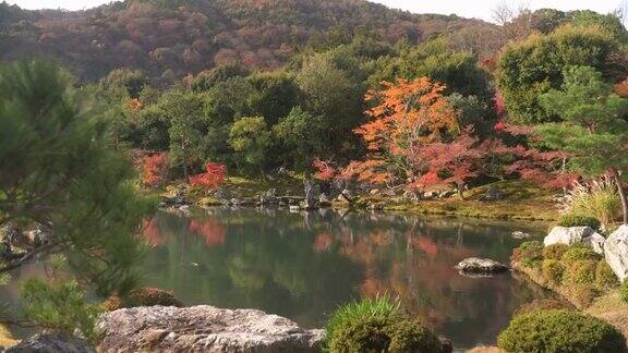 淘金:观赏日本秋叶园