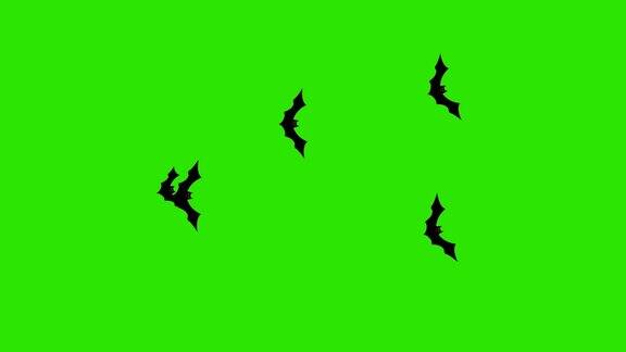 卡通万圣节蝙蝠飞过屏幕上的绿色屏幕
