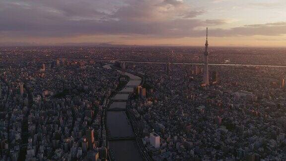 空中的东京城市景观在黎明日本