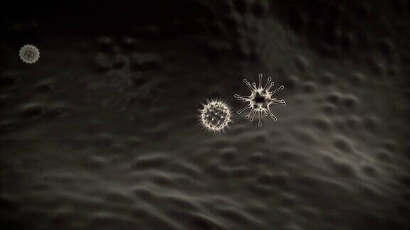 巨噬细胞和病毒