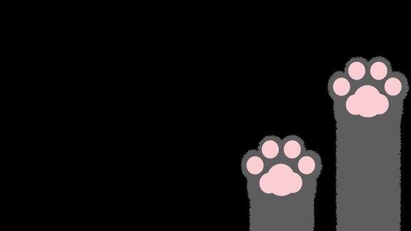 可爱的猫手动画帧重复阿尔法通道
