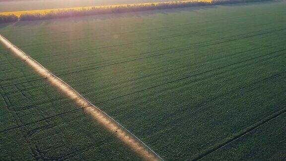 田间作物灌溉系统空中视频从无人机视频高清