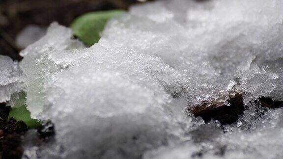 融化的雪融化的冰泉水春天的时间