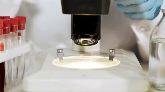 科学家点亮显微镜台调整物镜查看细菌样本