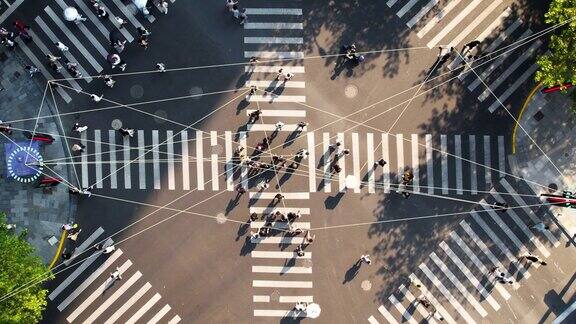大城市的人行横道我们身边的科技