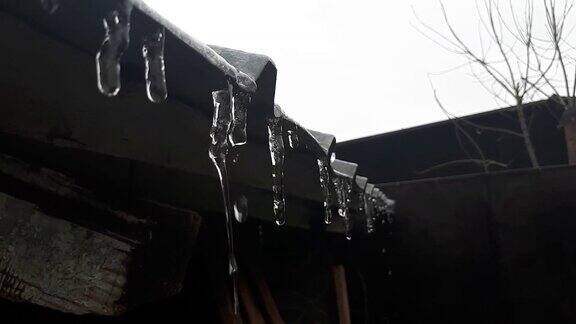 屋顶上挂着融化的冰柱冬天融化水滴从屋顶上滴下来