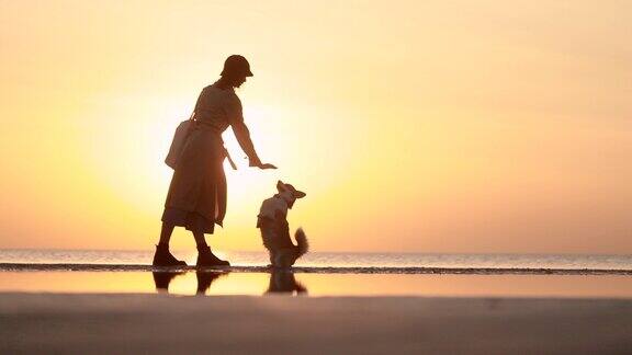 女主人有乐趣与柯基狗站在海边在傍晚日落spbi