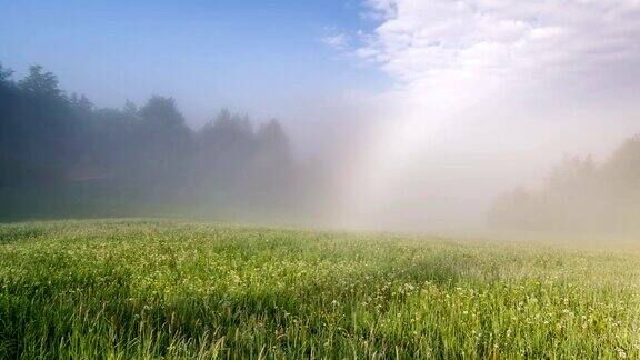 绿草地上雾蒙蒙的早晨时光流逝