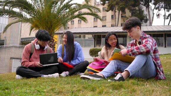 多民族大学生坐在校园草坪上学习教育