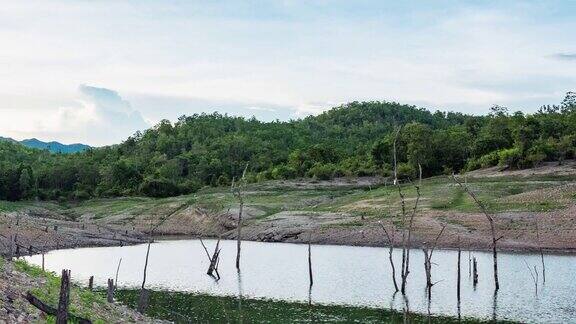 树桩在湖与热带山脉和蓝天日落时间流逝视频