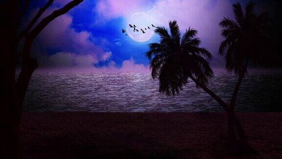 夜空、月亮和棕榈树的自然背景