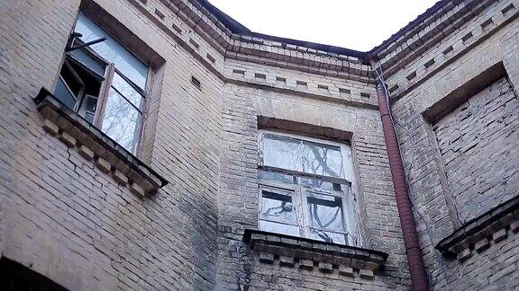 古老的砖房旧窗户和不祥的鸟坐