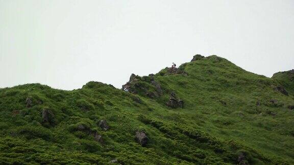 雾中的登山者