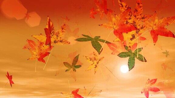 《秋叶飘落与日落》(HDLoop)