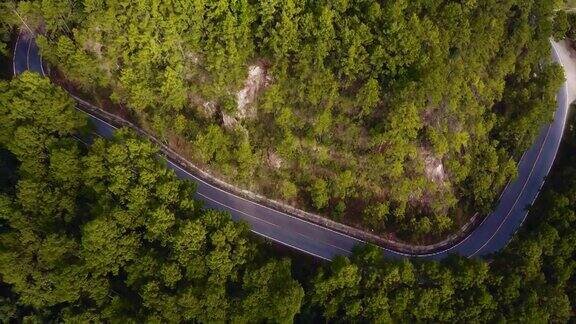 无人机:蜿蜒穿过森林的道路