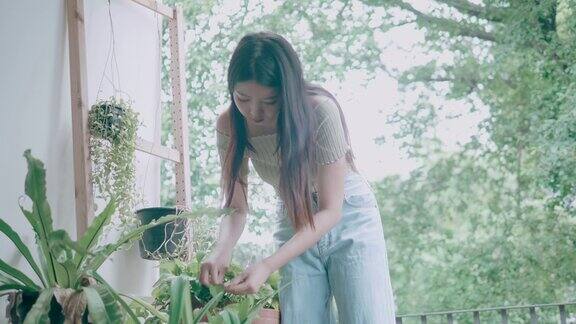 年轻女士种植在她的家阳台存货VDO