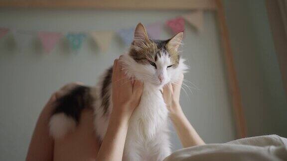 年轻女子躺在床上抚摸着毛茸茸的猫